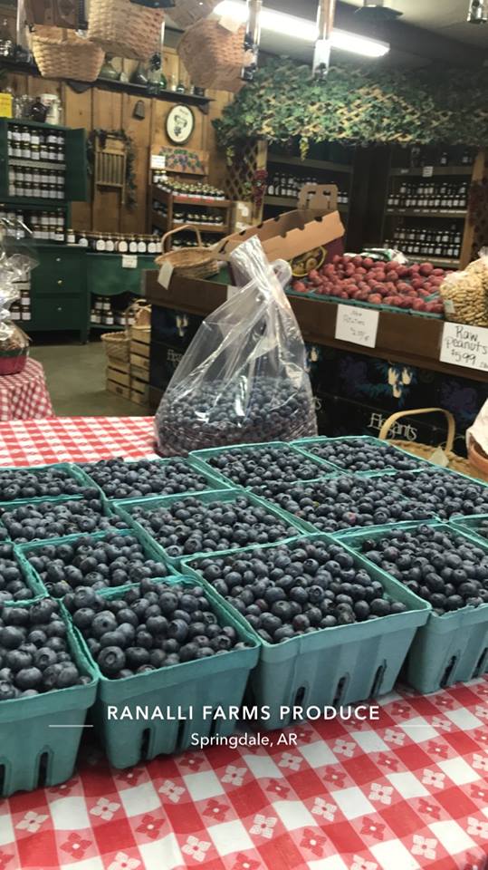 blueberries2018